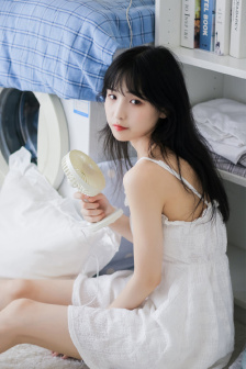 掩护电视剧